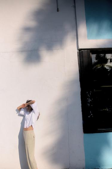 CARROT FIT PLEATED ANKLE-GRAZER TROUSERS - Stone by Zara