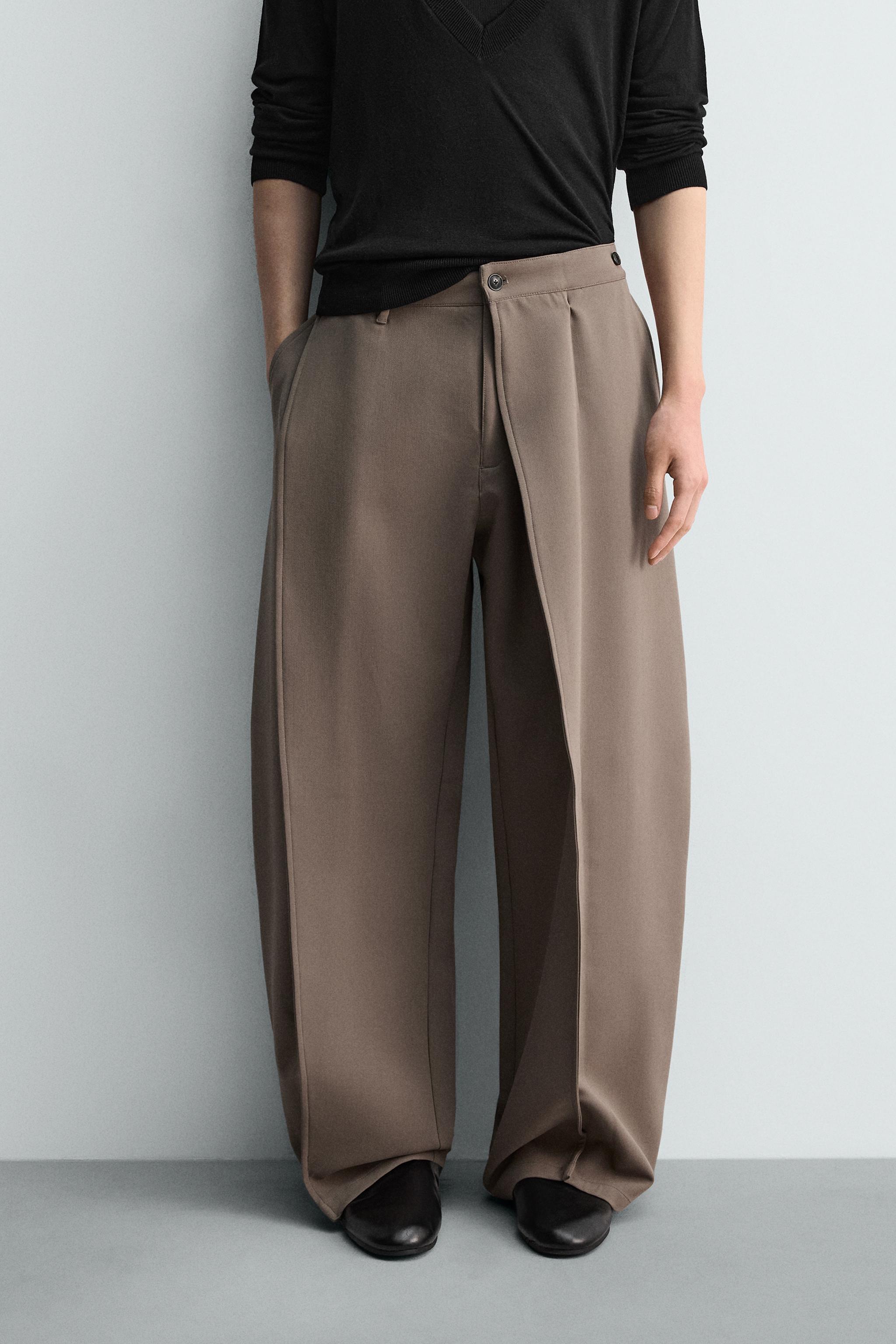 リラックスフィットプリーツパンツ - ブラウン/モール | ZARA Japan / 日本