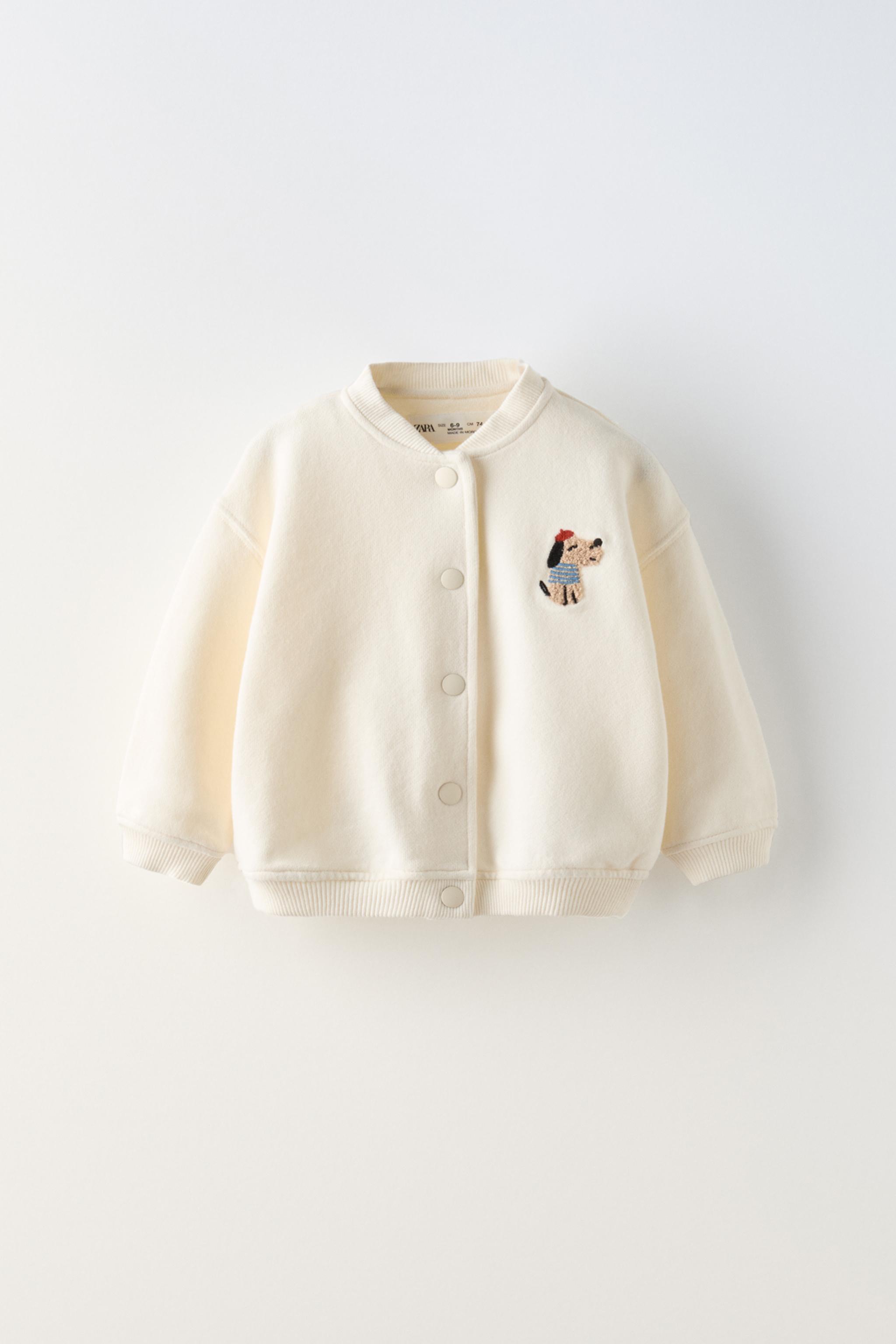 Dog bomber jacket hotsell