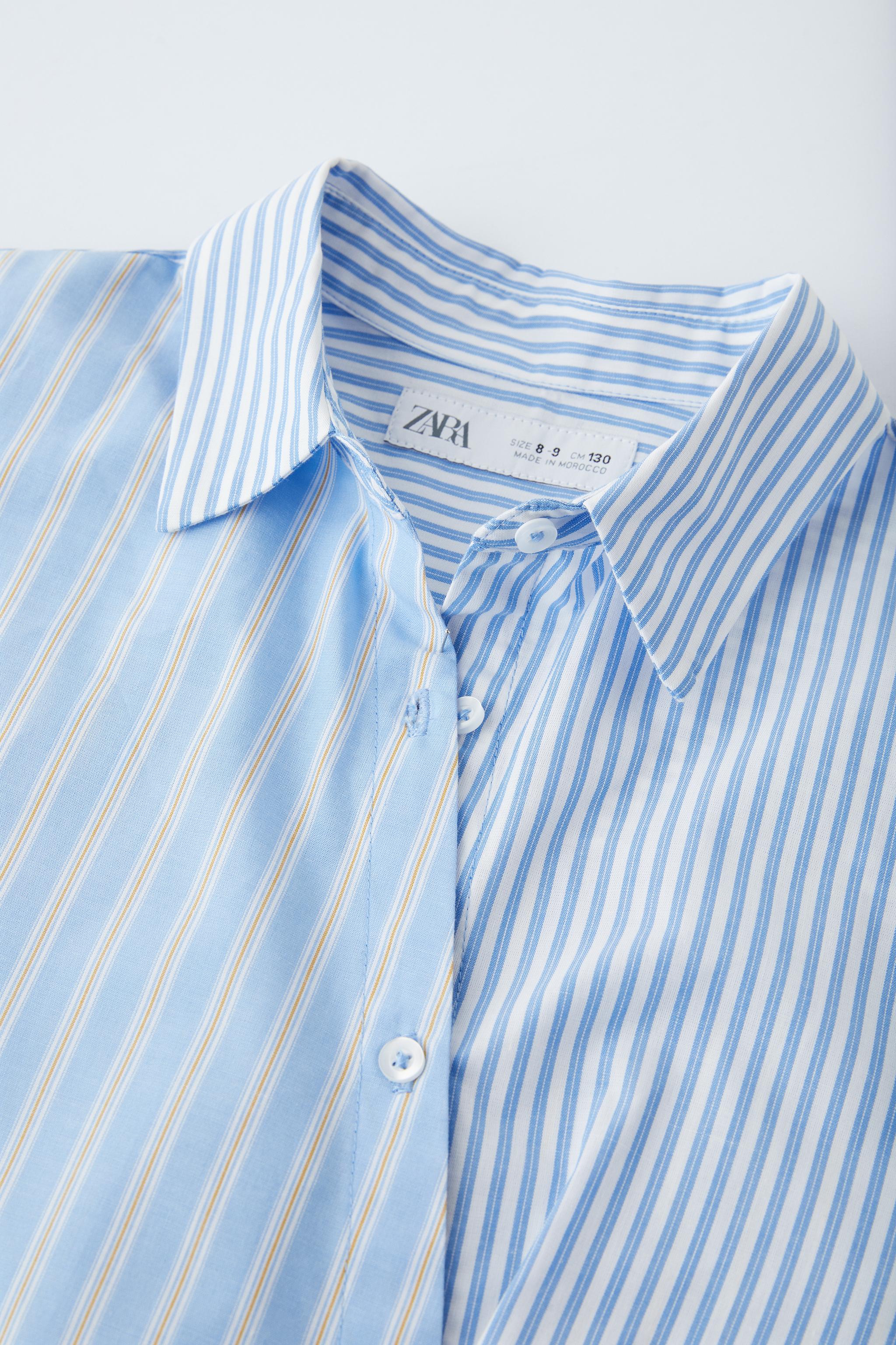 コントラスト ストライプシャツ - ブルー | ZARA Japan / 日本