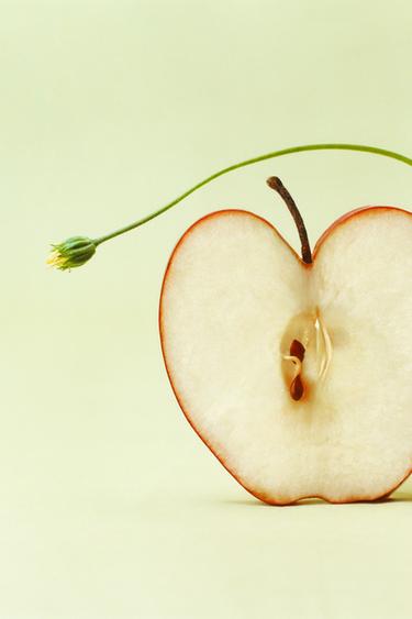 HIP HOP RED APPLE EDT 60 ML (2.03 FL. OZ) - TINTED LEATHER by Zara