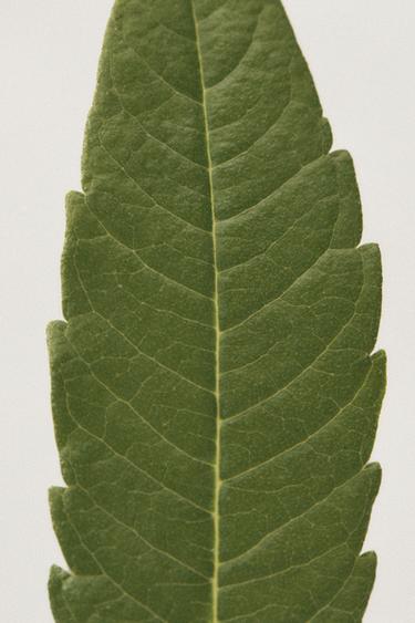 MONTMARTRE IN SPRING SCENTED CANDLE 200G (7.05 OZ). - TINTED LEATHER by Zara - Image 2