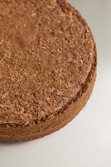 JACARANDA SEED GROWING KIT - Brown by Zara - Image 3