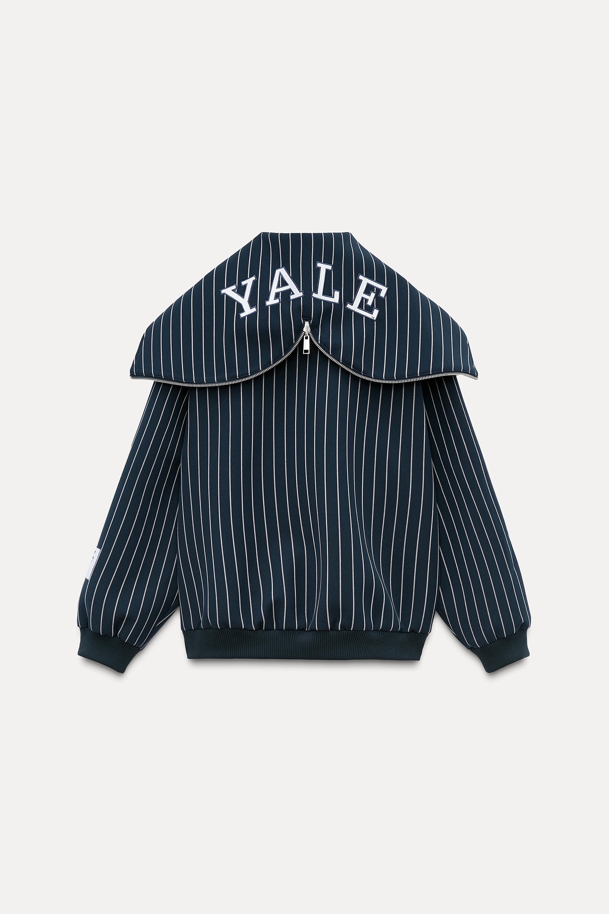 YALE™ ストライプ ボンバージャケット - ネイビーブルー | ZARA