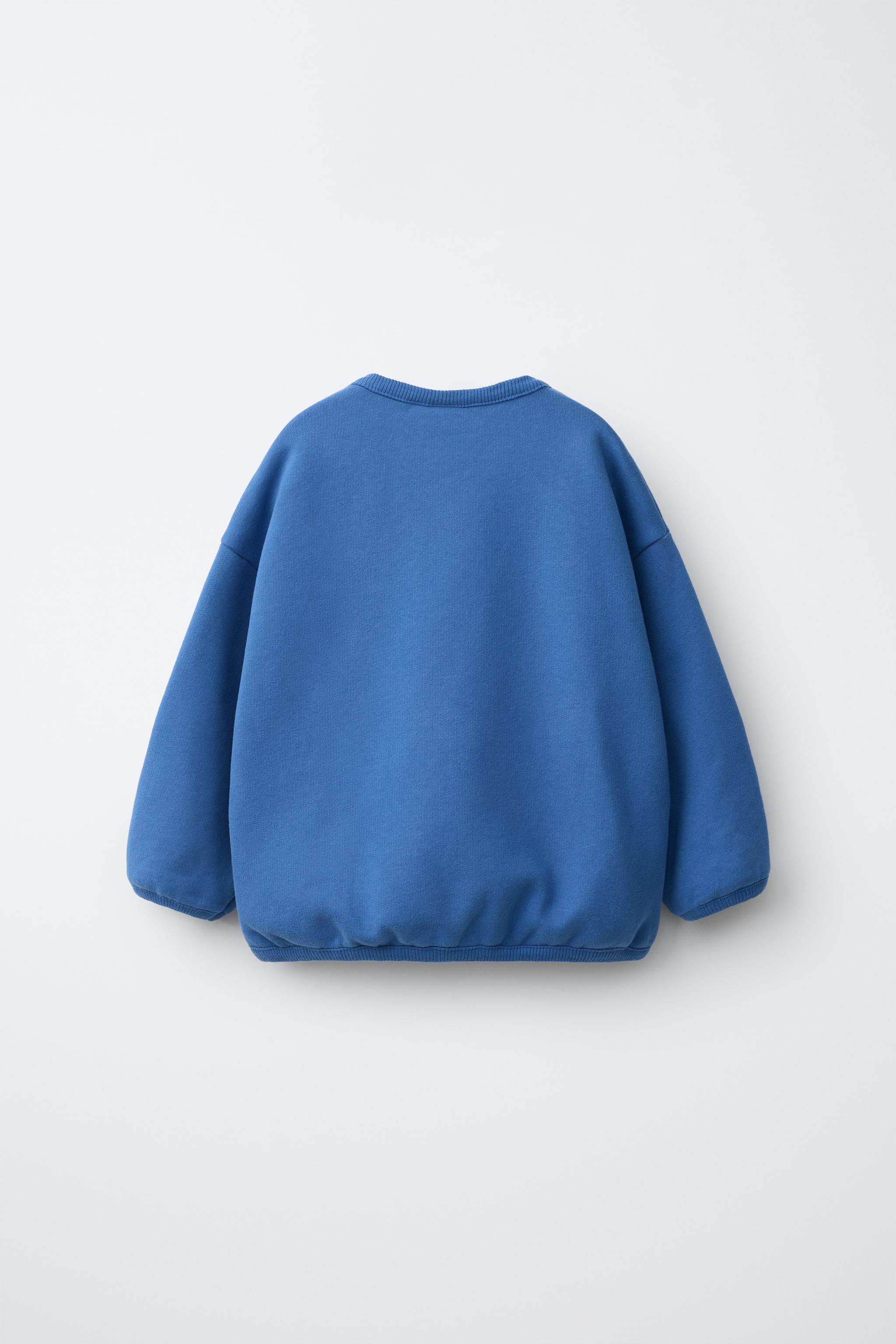 Детские худи Zara EMBROIDERED BEAR SWEATSHIRT — фото 3