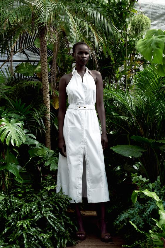 Zara Women Puff sleeve dress 7385/106/513 (Large): Buy Online at