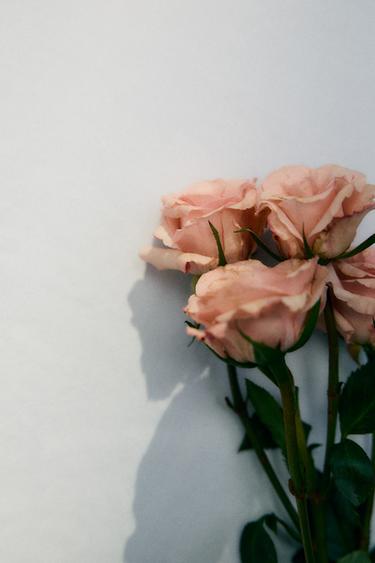 CAPTIVATINGLY PARIS EDP 30ML / 1.01 oz -  by Zara - Image 3