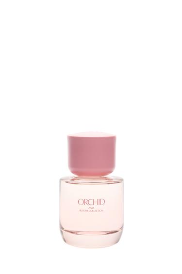 ماء عطري ORCHID سعة 50 مل - TINTED LEATHER الخاص بـ Zara