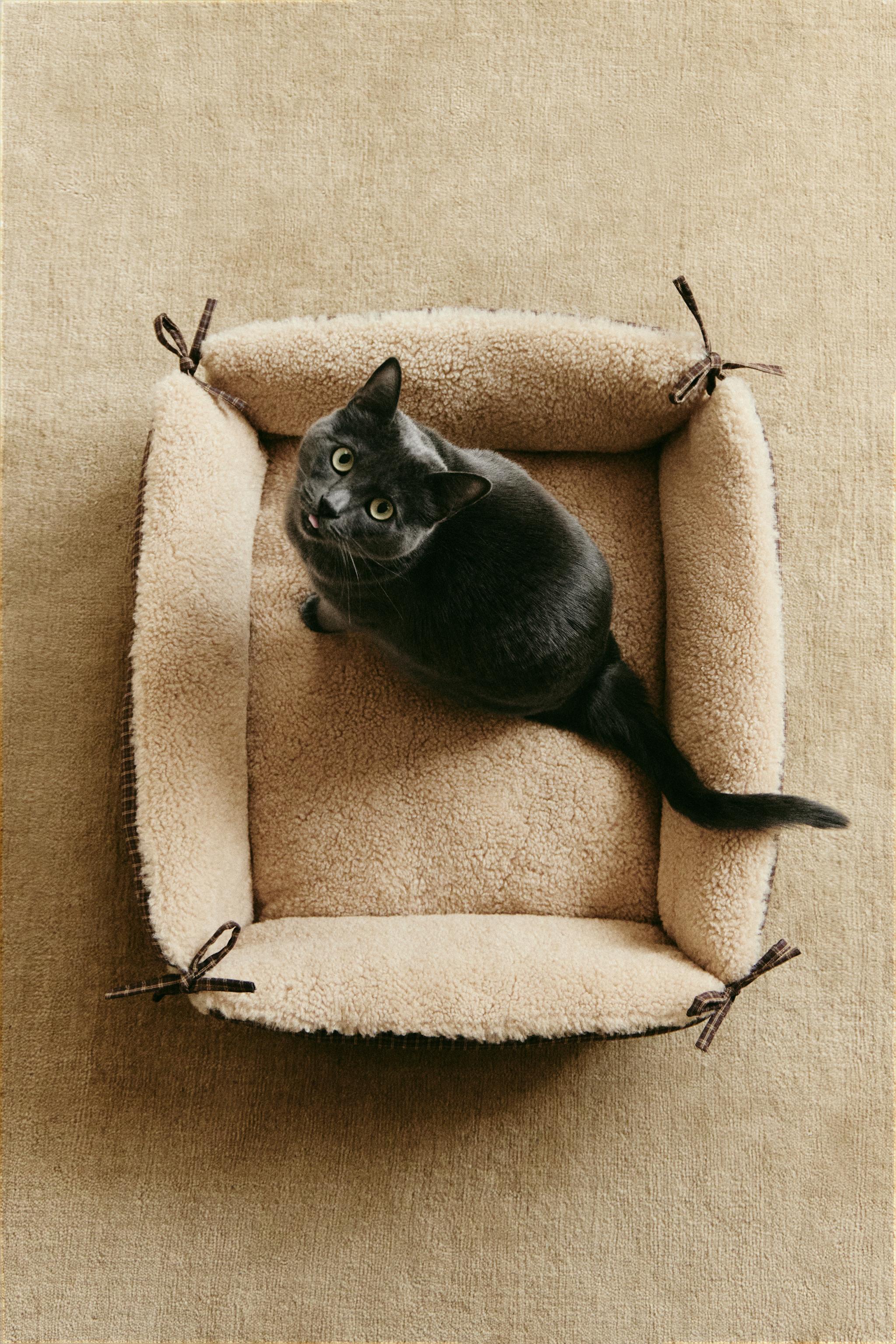 CHECK PET BED