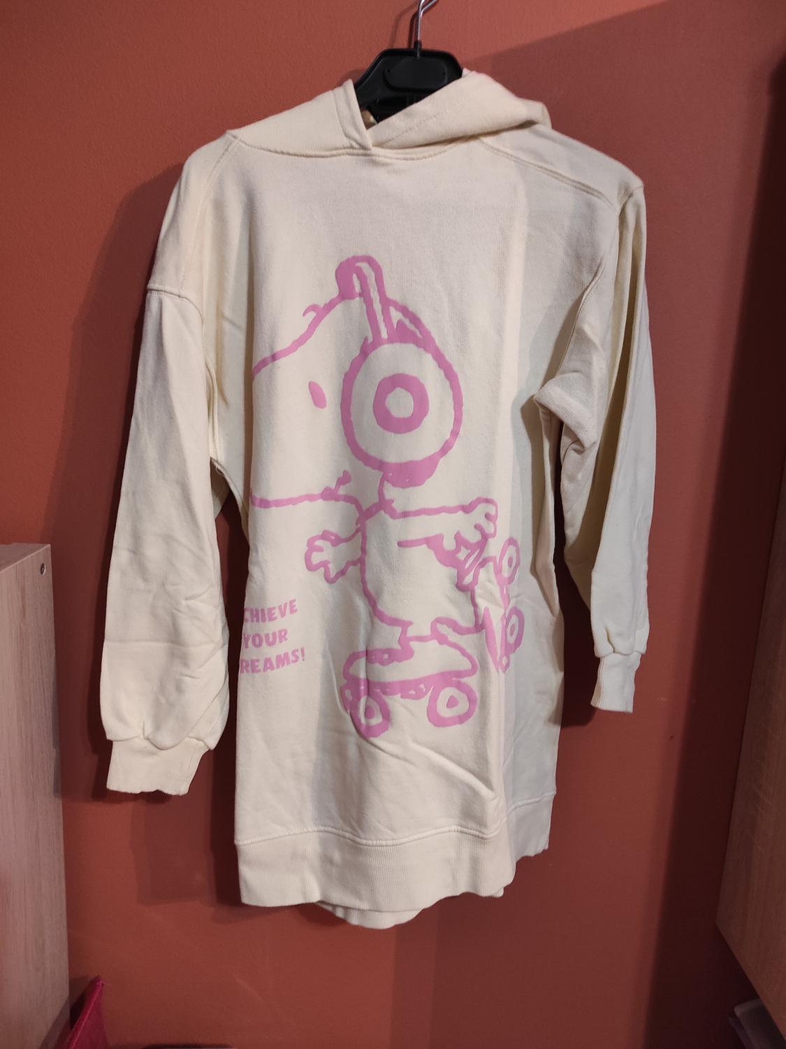 Beige hoodie with a pink print of a character with skates and headphones. Text: "ACHIEVE YOUR DREAMS!" Brown background.