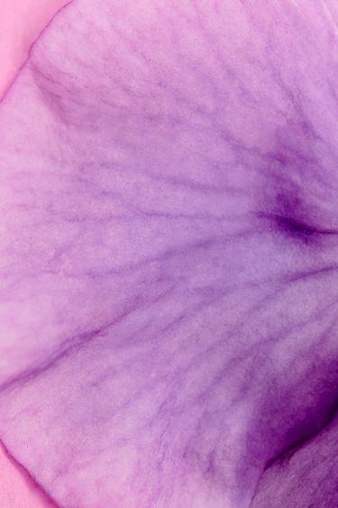 TUBEROSE & TWILIGHT MAUVÉ EDT 2X90ML (3.0 FL. OZ). -  de Zara - Image 1