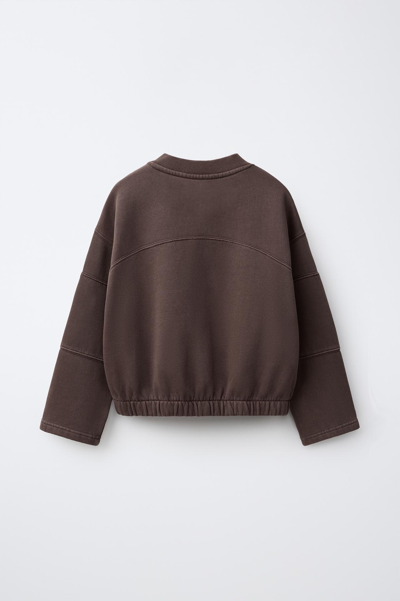 WASHED-EFFECT GRAPHIC SWEATSHIRT — Brown