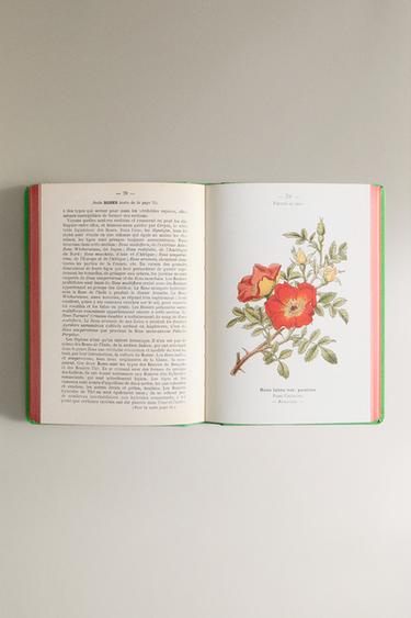 ATLAS DE POCHE DES ARBUSTES ET ARBRISSEAUX BOOK - Green by Zara - Image 3