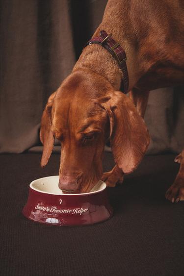ΜΠΟΛ ΦΑΓΗΤΟΥ ΚΑΤΟΙΚΙΔΙΩΝ ΑΠΟ ΗΜΙΠΟΡΣΕΛΑΝΗ - Κόκκινο του Zara