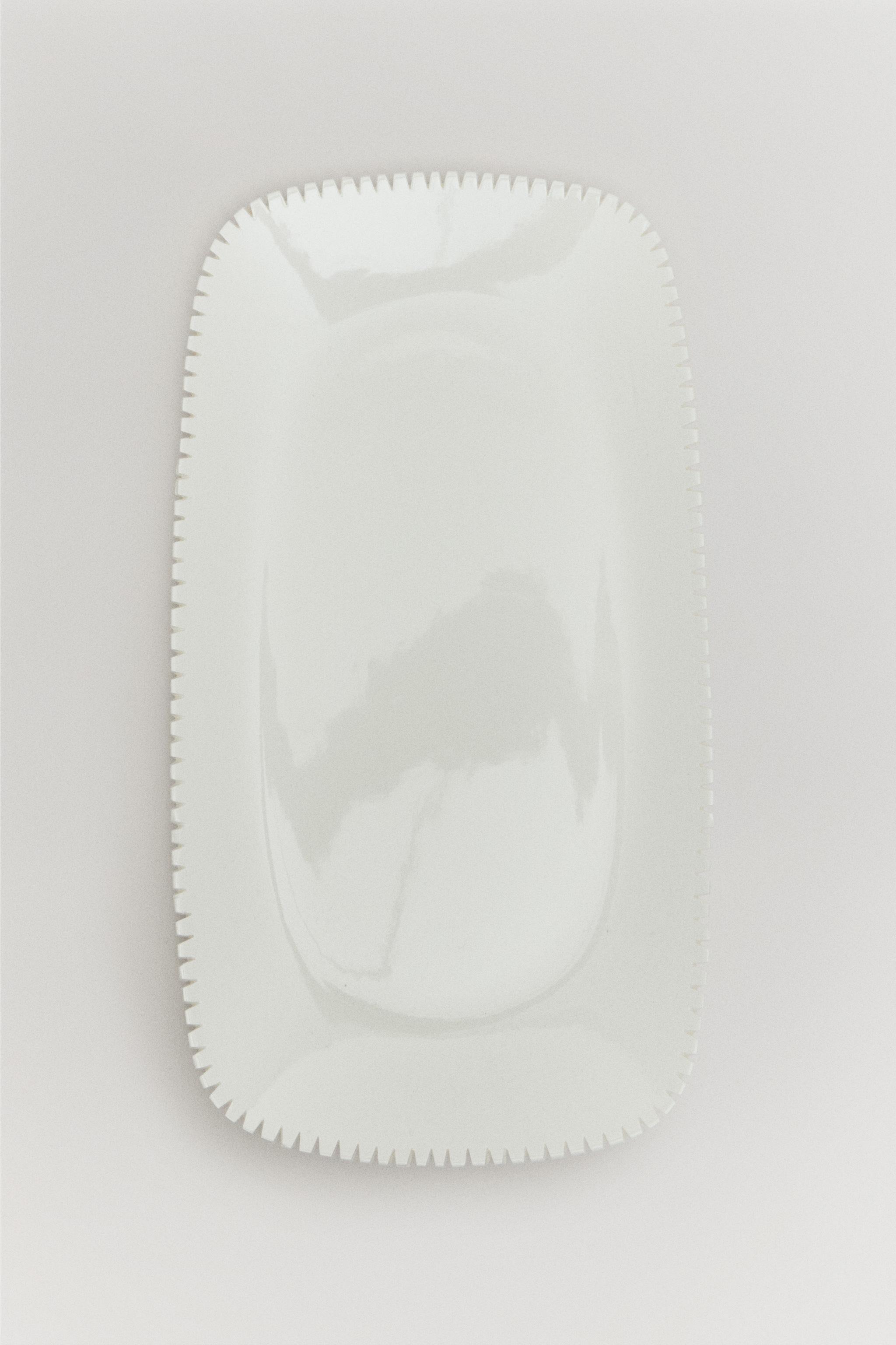 THE DENTATA TRAY
