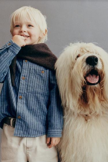 STRIPED STAND COLLAR SHIRT - Blue by Zara