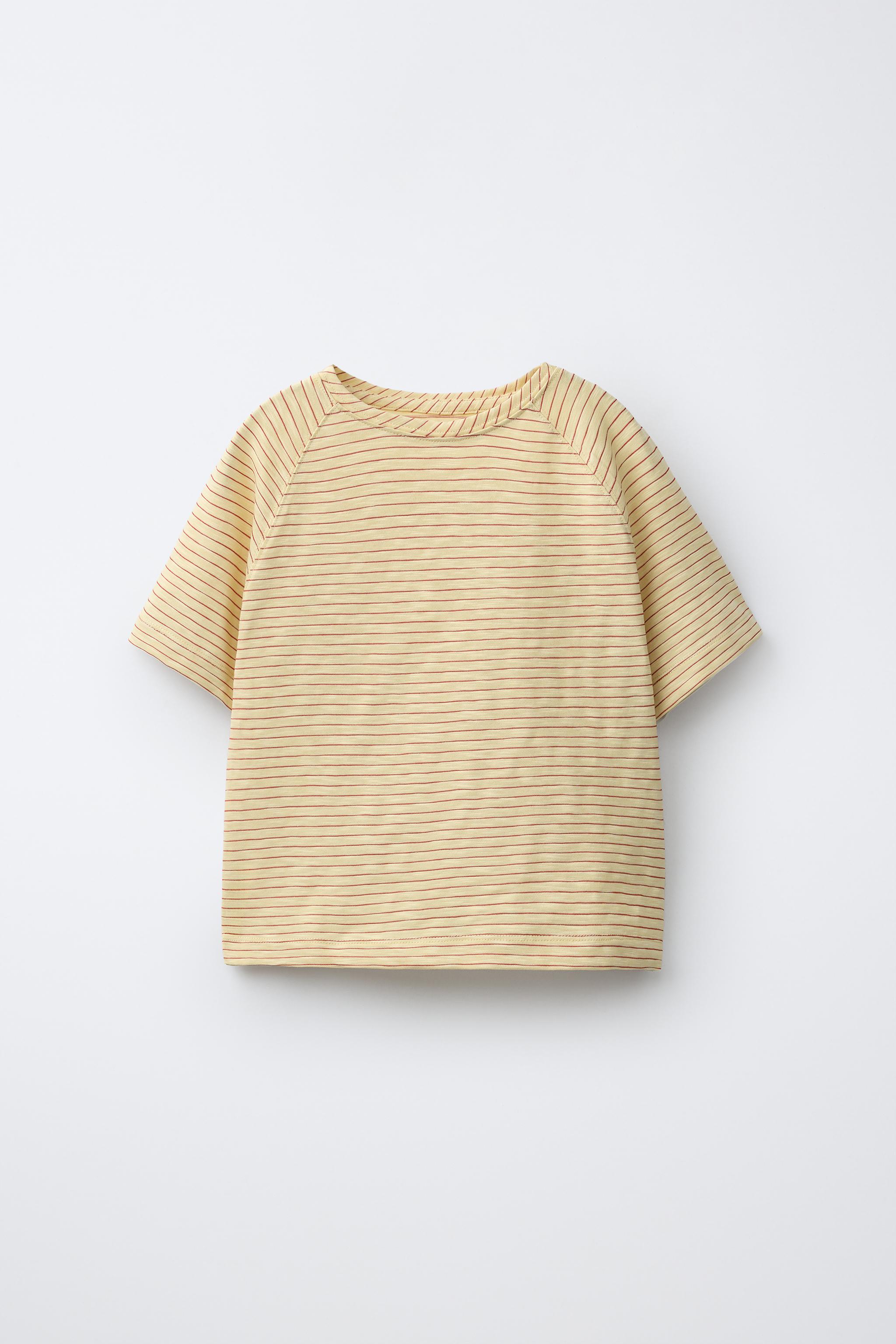 STRIPED RAGLAN SLEEVE T-SHIRT