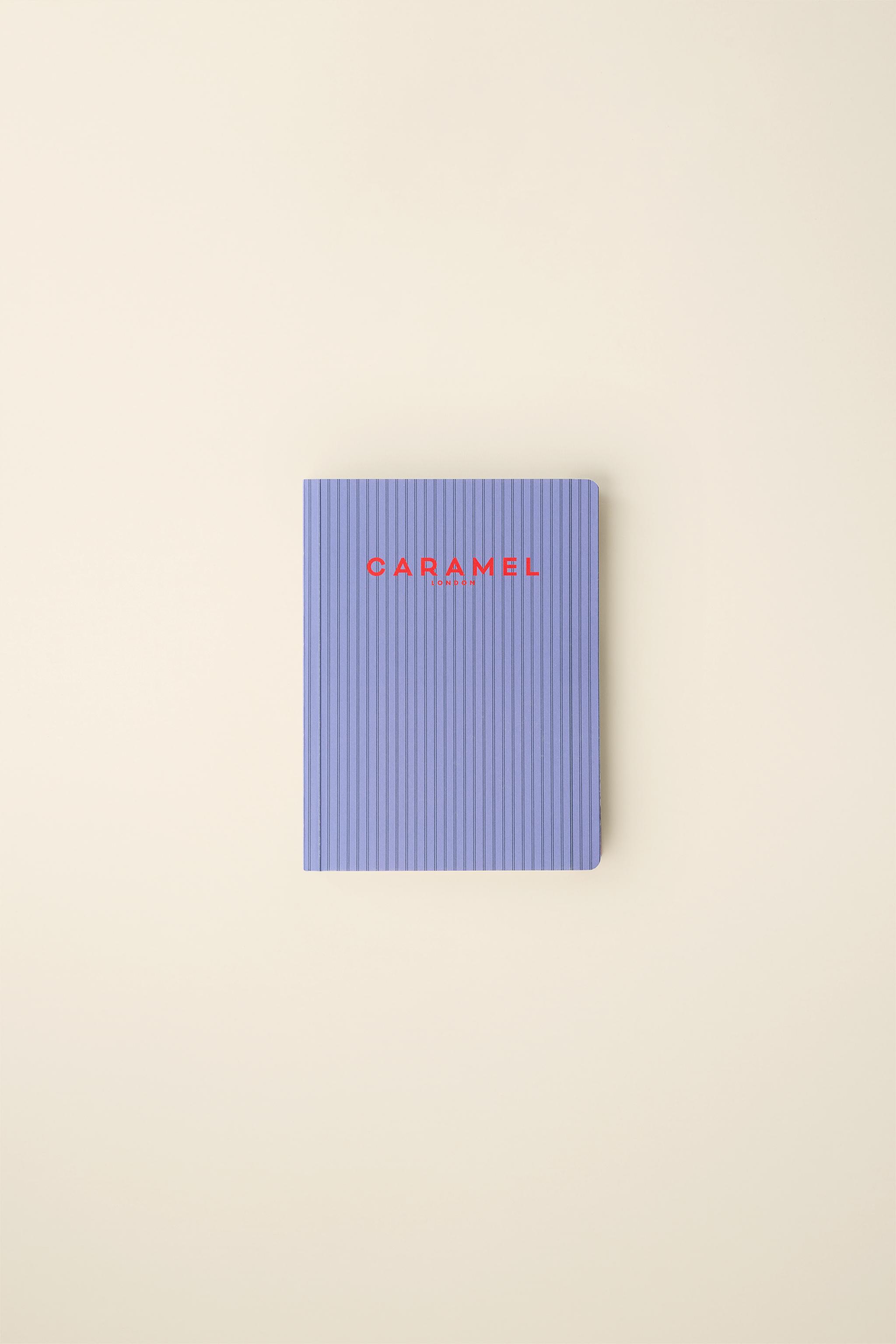 Zara STRIPED NOTEBOOK CREATED BY CARAMEL LONDON X
