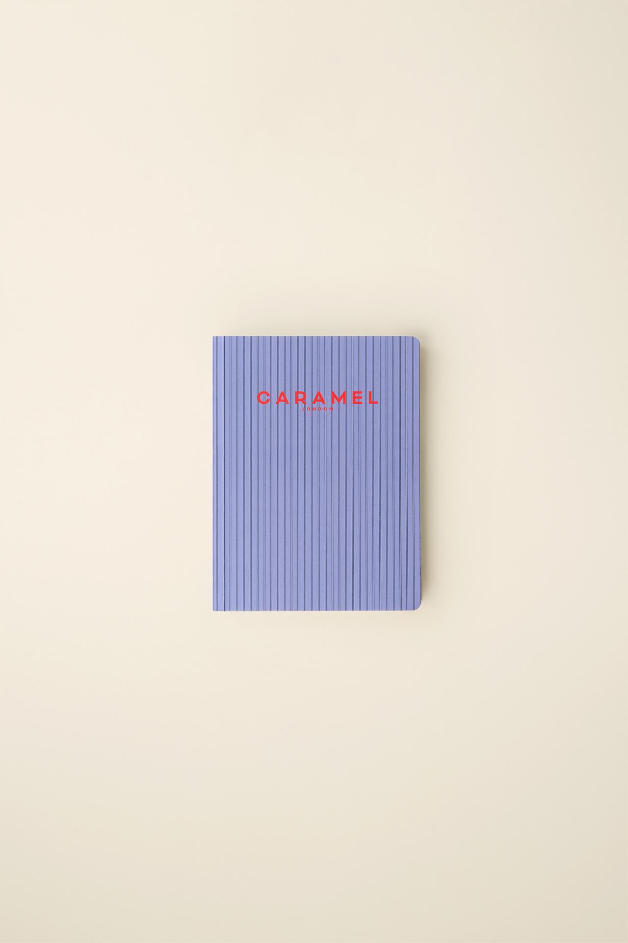 STRIPED NOTEBOOK CREATED BY CARAMEL LONDON X ZARA — Multicolored