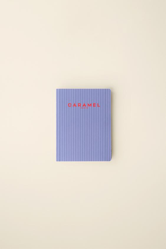 STRIPED NOTEBOOK CREATED BY CARAMEL LONDON X ZARA - Multicoloured by Zara - Image 0