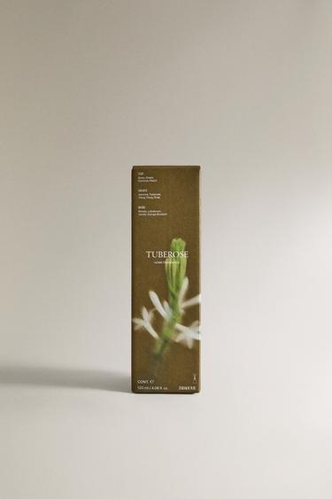 (120 ML) DIFFUSEUR À BÂTONNETS TUBÉREUSE - Violet de Zara - Image 3