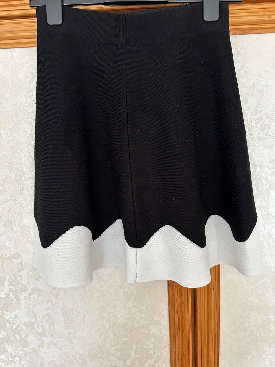 MONOCHROME SKIRT - Image 2