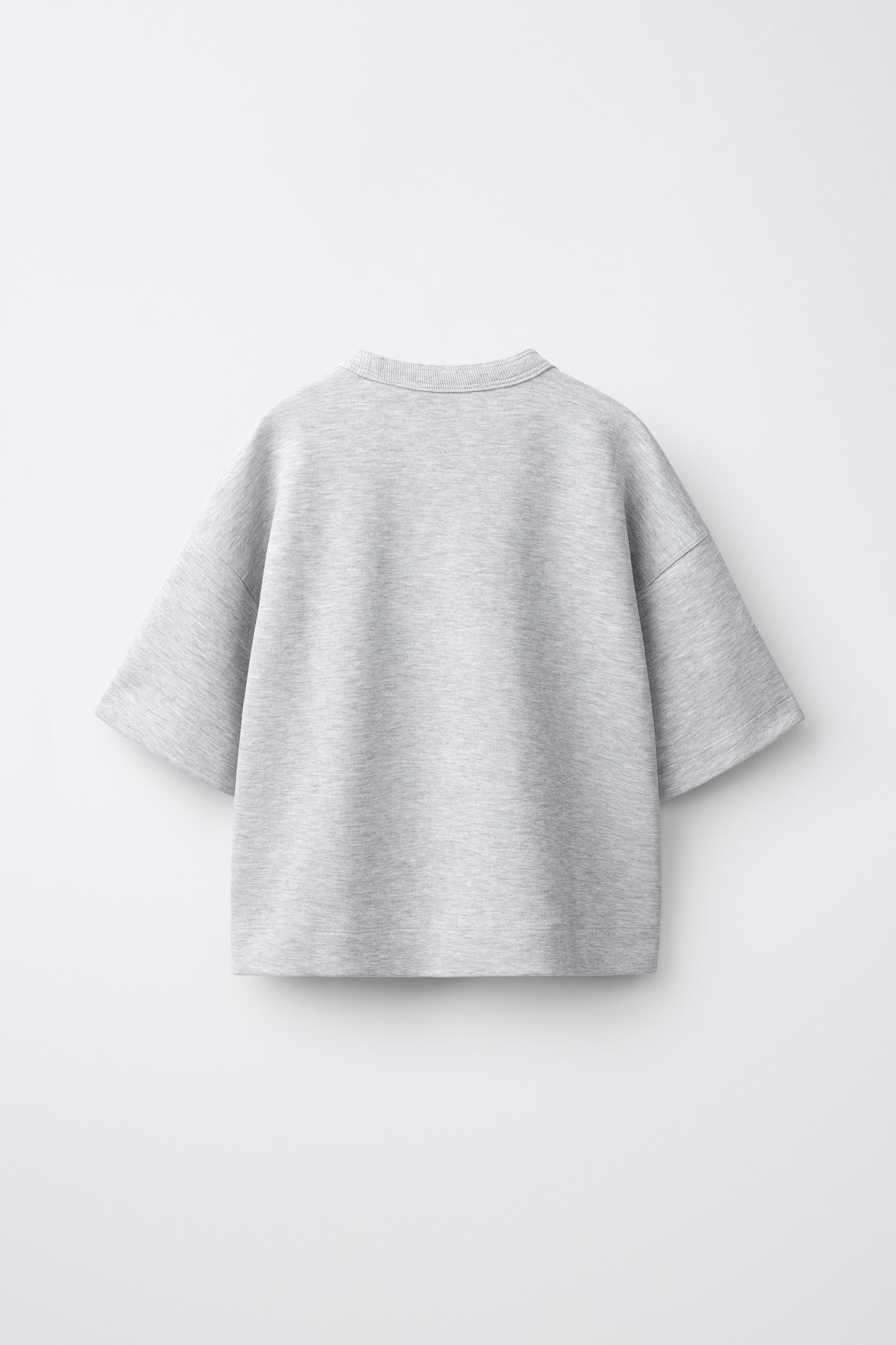 CAMISETA INTERLOCK LISA - Marrom | ZARA Brasil
