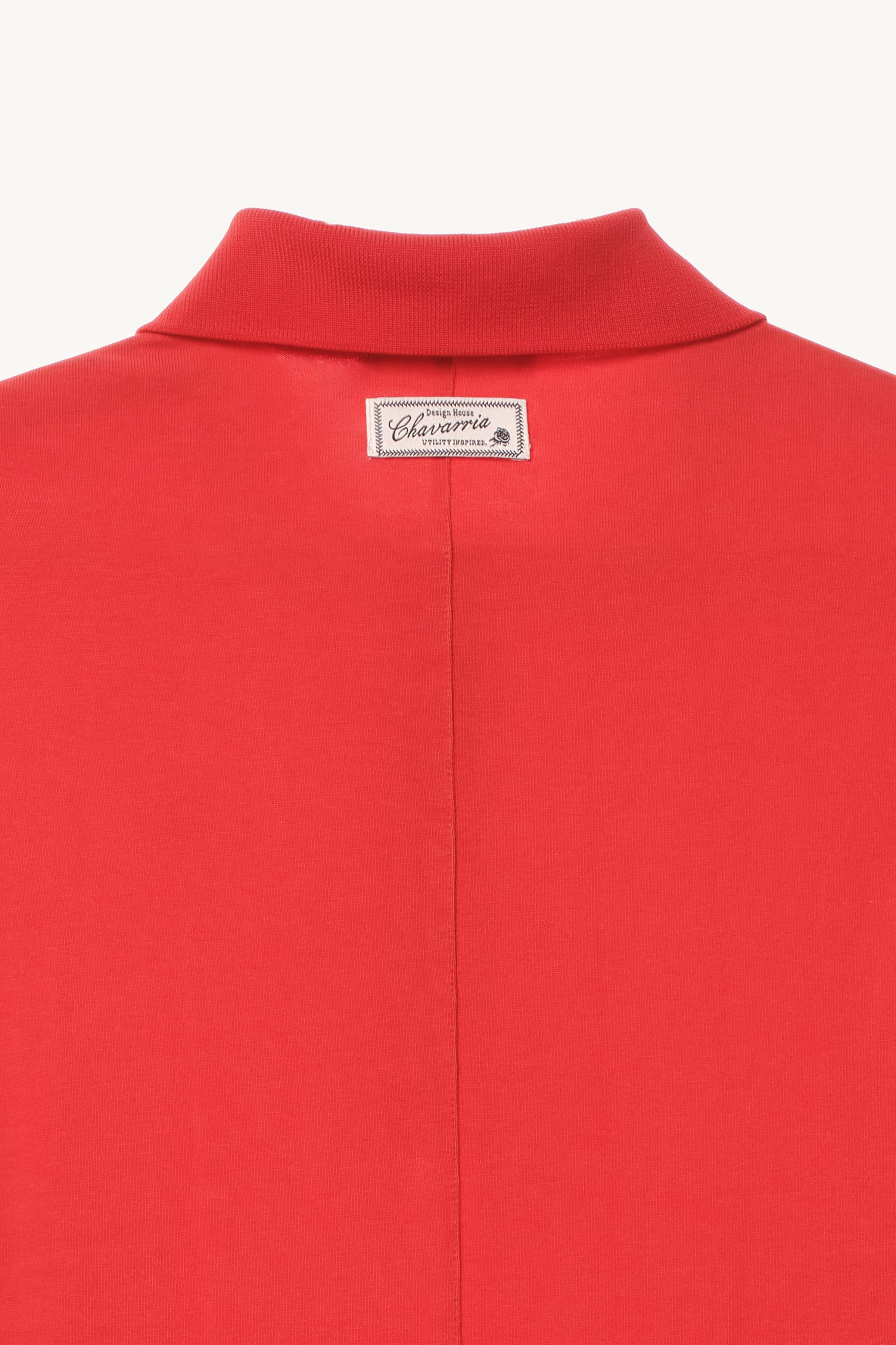 WILLY CHAVARRIA X ZARA POLO COLLAR DRESS