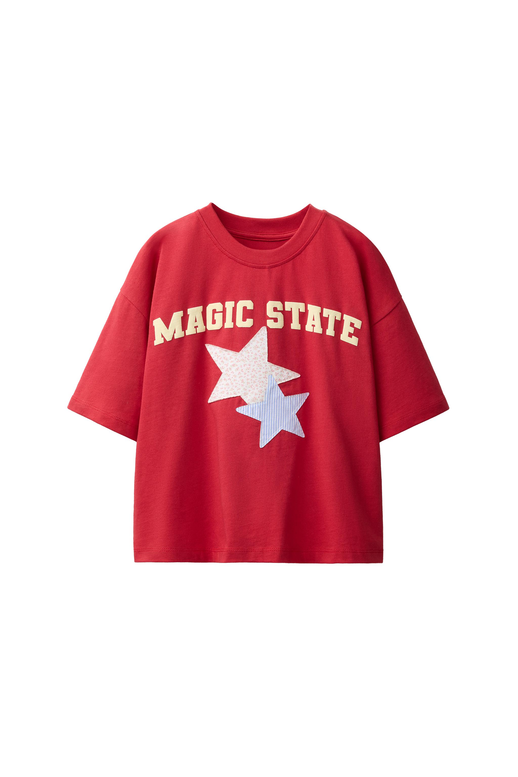 ギンガムチェックパッチTシャツ - ホワイト/レッド | ZARA Japan / 日本