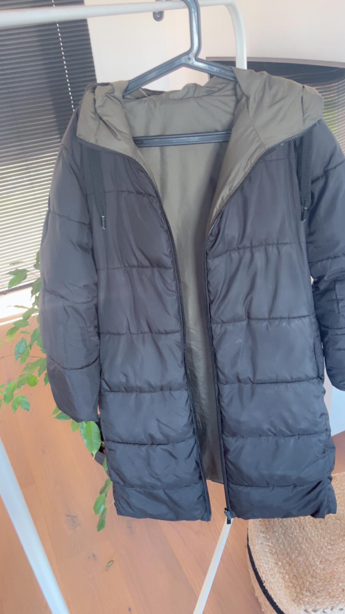 Black padded jacket with hood hanging on a coat rack. Background with black blind and green plant. Light wooden floor.