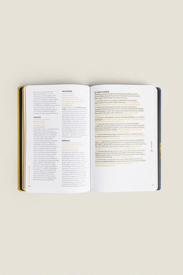 NEW YORK CITY GUIDE BY LOUIS VUITTON BOOK - Mustard by Zara - Image 4