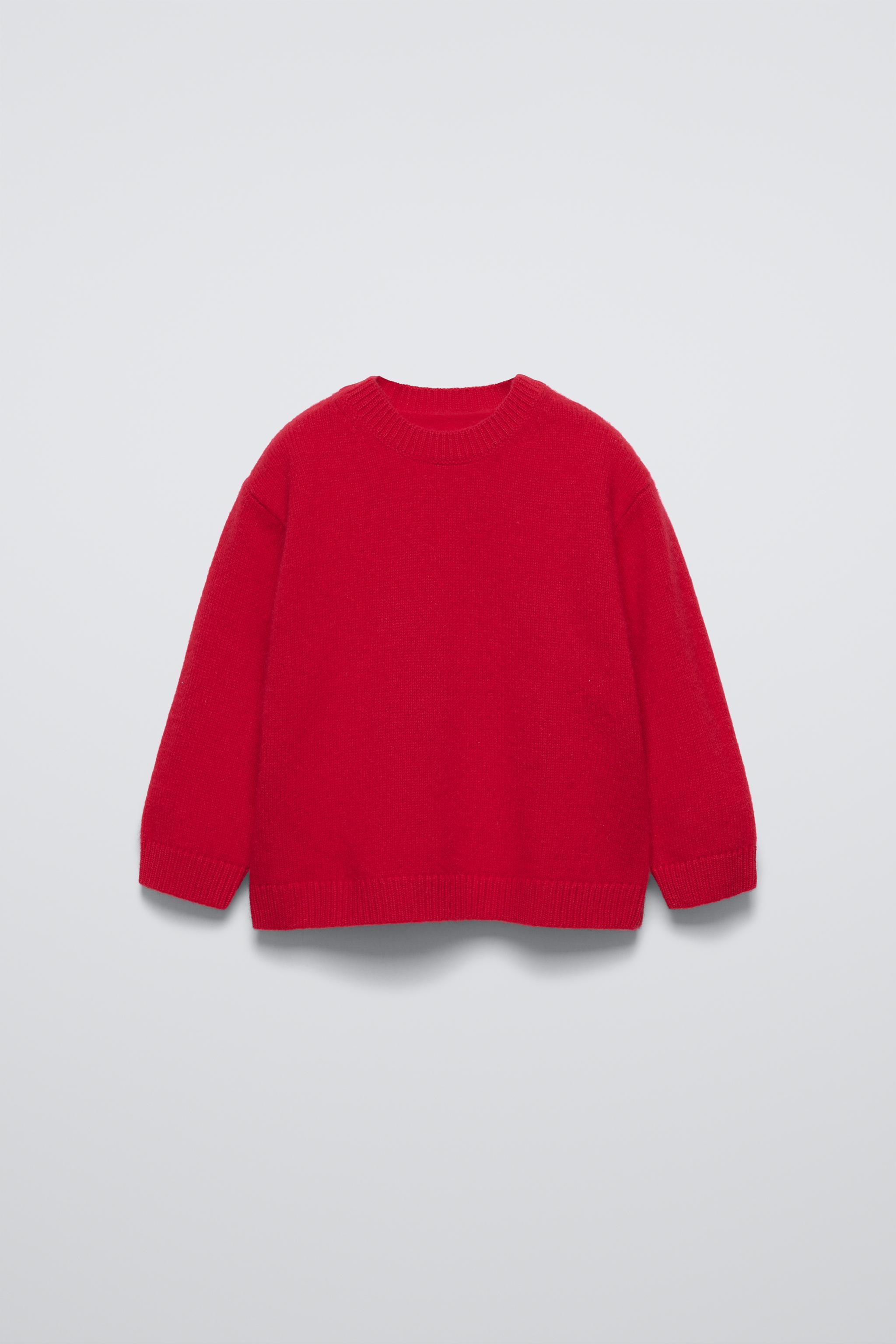 Champion sweater womens red zara best sale