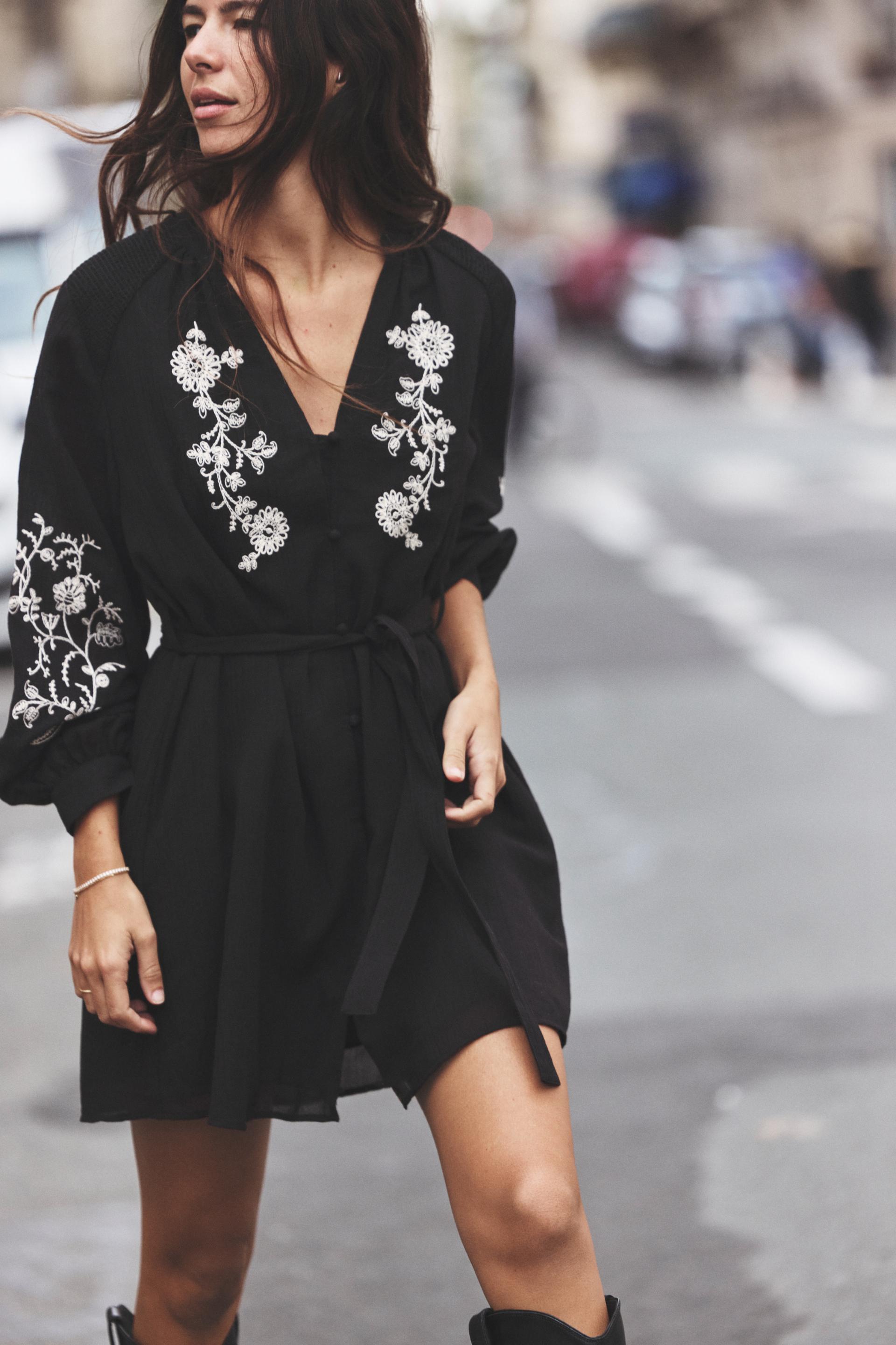 Embroidered sleeve dress best sale