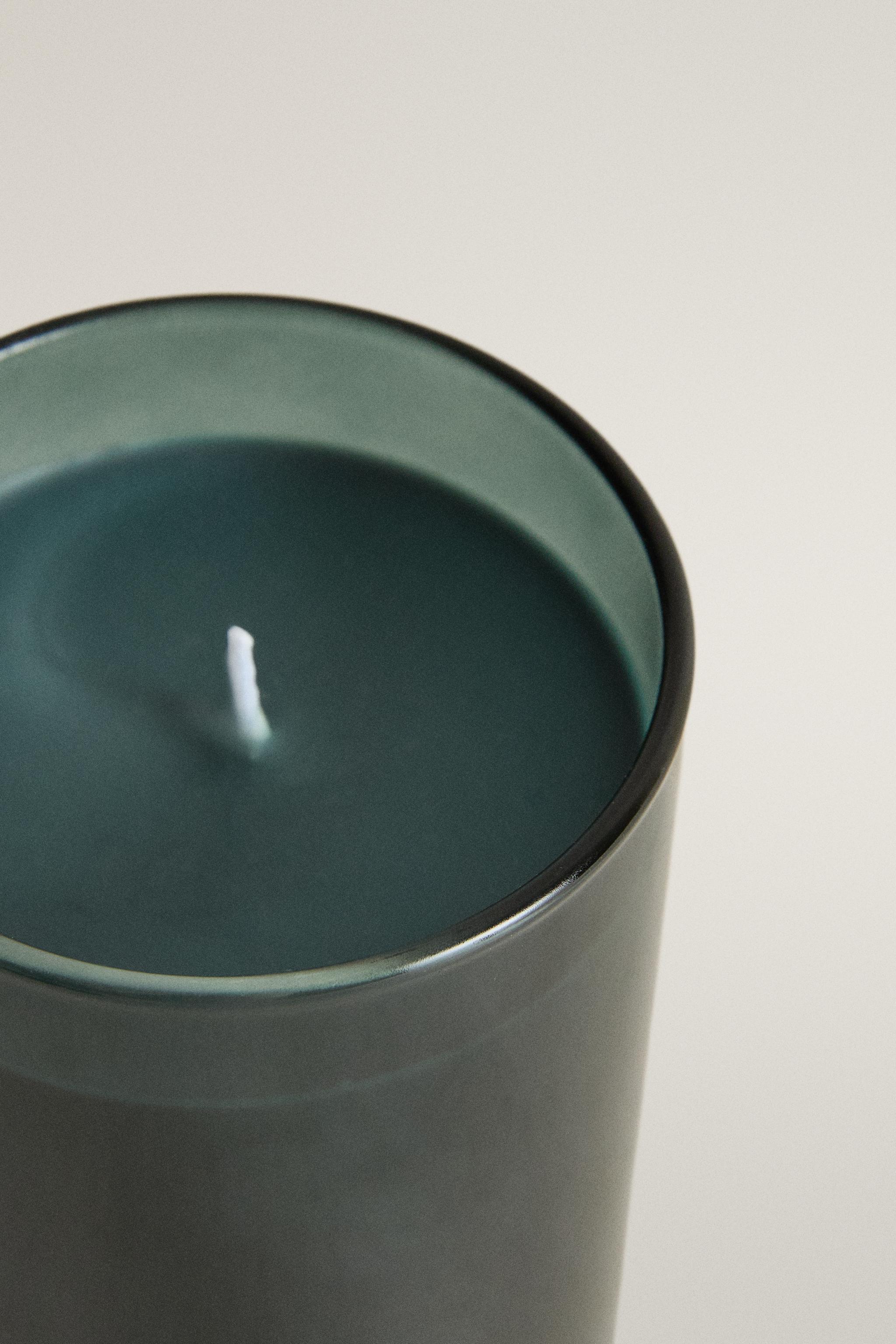 (220 G) BOUGIE PARFUMÉE BOROSILICATE WINTER CYPRESS