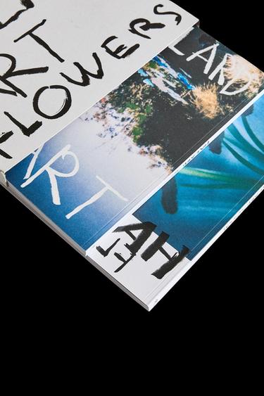 BUCH FRANCOIS HALARD ART & FLOWERS - Weiß von Zara