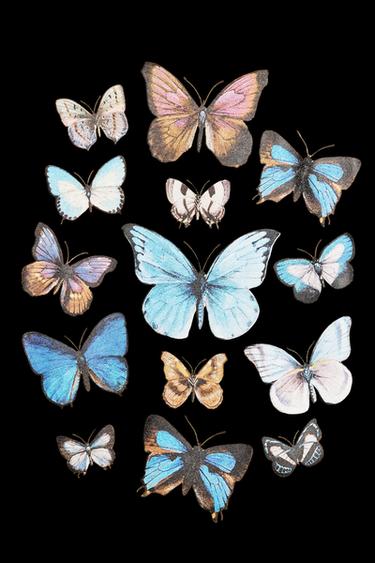 MARIAN ELLIS ROWAN BUTTERFLY PRINT T-SHIRT - Yellow by Zara