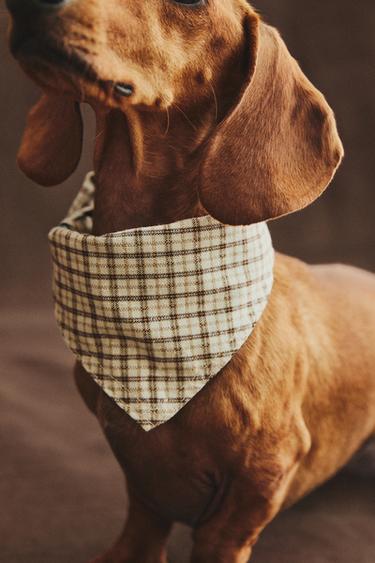 BANDANA ALGODÓN LINO CUADRO MASCOTAS - Verde de Zara