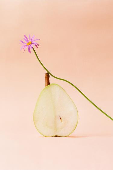 ROSE MARSHMALLOW CANDY EDT 60 ML (2.03 FL. OZ.) - TINTED LEATHER by Zara