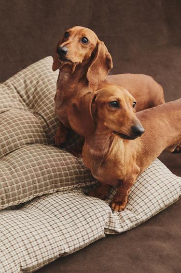 SUR-MATELAS CARREAUX ANIMAUX DE COMPAGNIE - Vert de Zara - Image 5