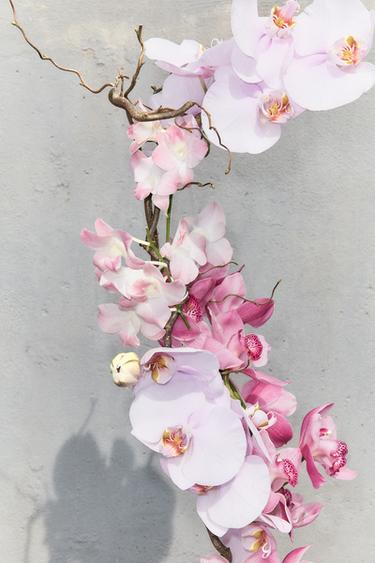 ORCHID EDP 50ML (1.7 FL. OZ). -  by Zara - Image 1