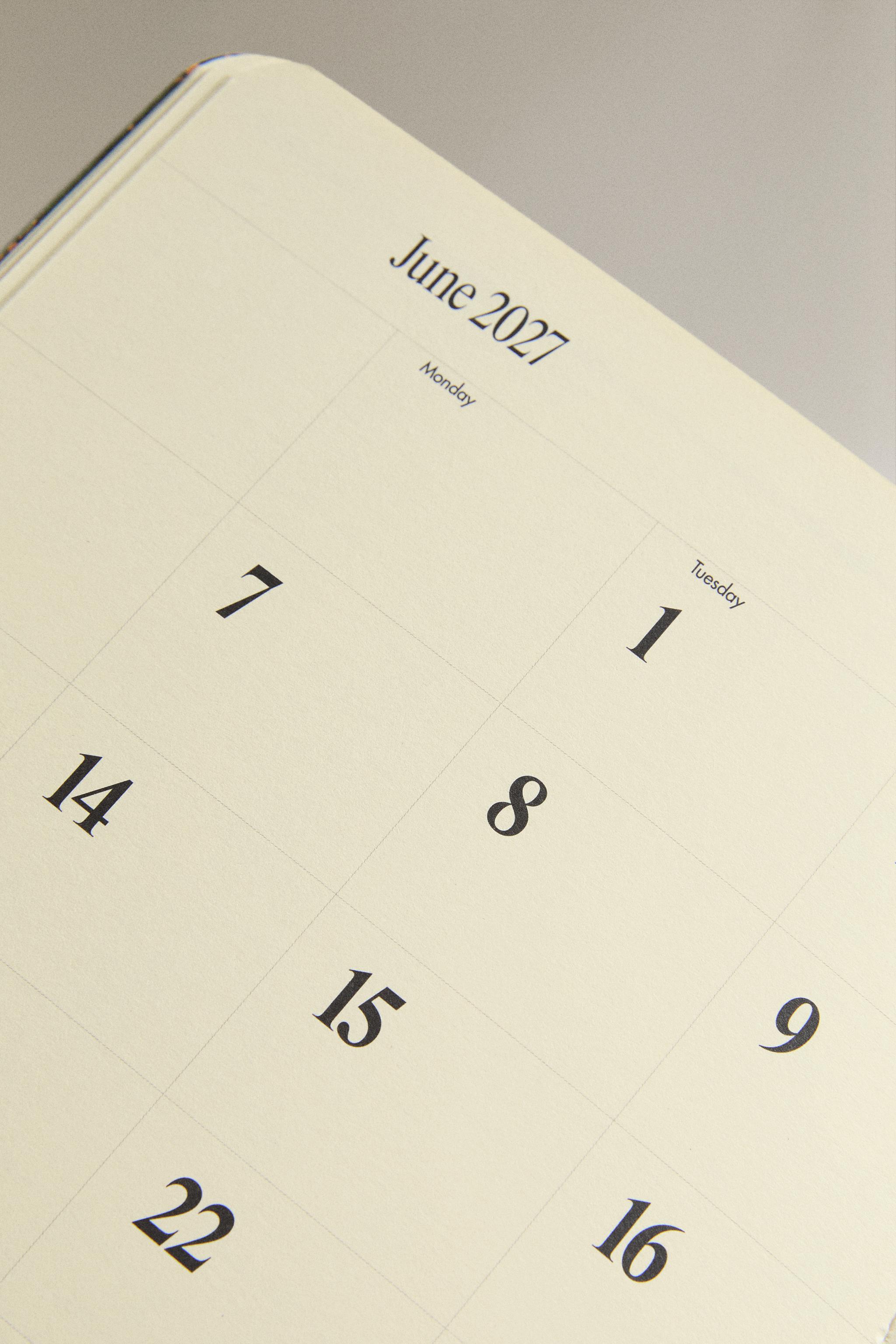Zara WEEKLY AND MONTHLY PLANNER PACK (PACK OF 2) — фото 3