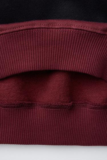 STRIPED CHERRY SWEATSHIRT - Burgundy by Zara - Image 3