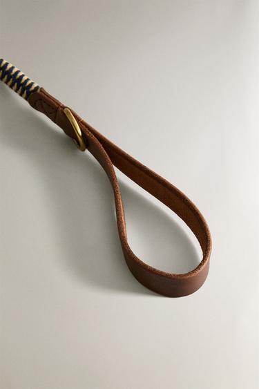 MULTICOLOURED CORD DOG LEAD - Blue by Zara - Image 2