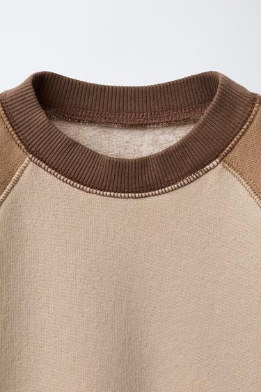 SWEAT À MANCHES RAGLAN - Beige foncé de Zara - Image 2