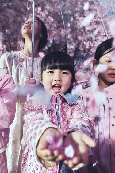 스트라이프 트윌 재킷 - Zara 로즈핑크 / 화이트