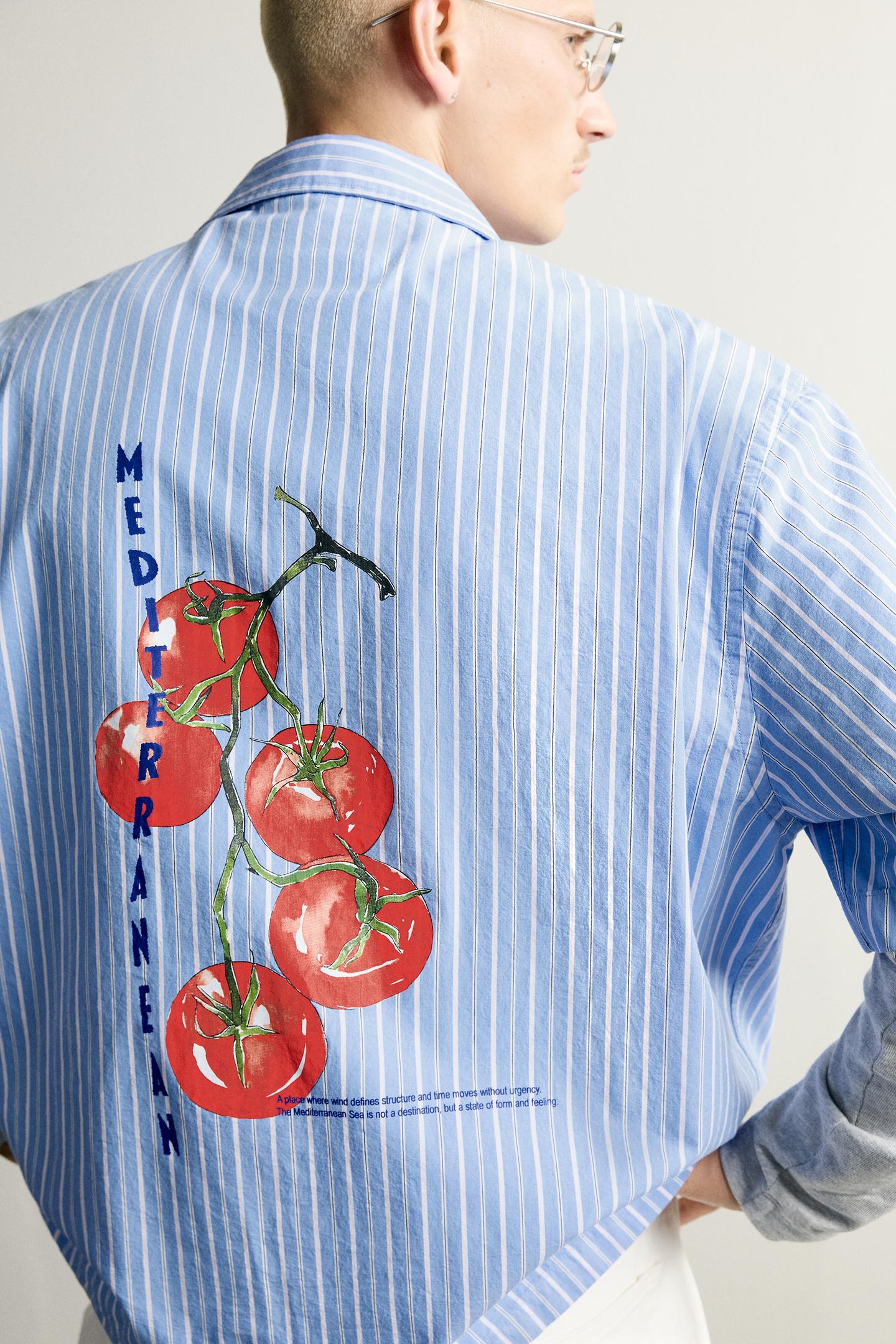 Мужское поло Zara Tomato Print Polo Shirt, цвет: Синий / Белый — фото 5