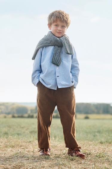 LIMITED EDITION EMBROIDERED FOX OXFORD SHIRT - Light blue by Zara