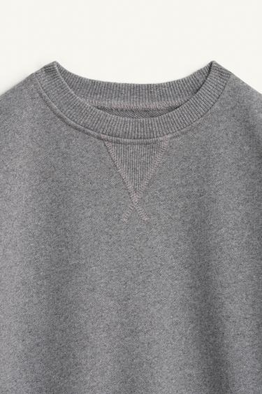 SWEAT UNI RENARD BRODÉ ÉDITION LIMITÉE - Gris chiné de Zara - Image 6
