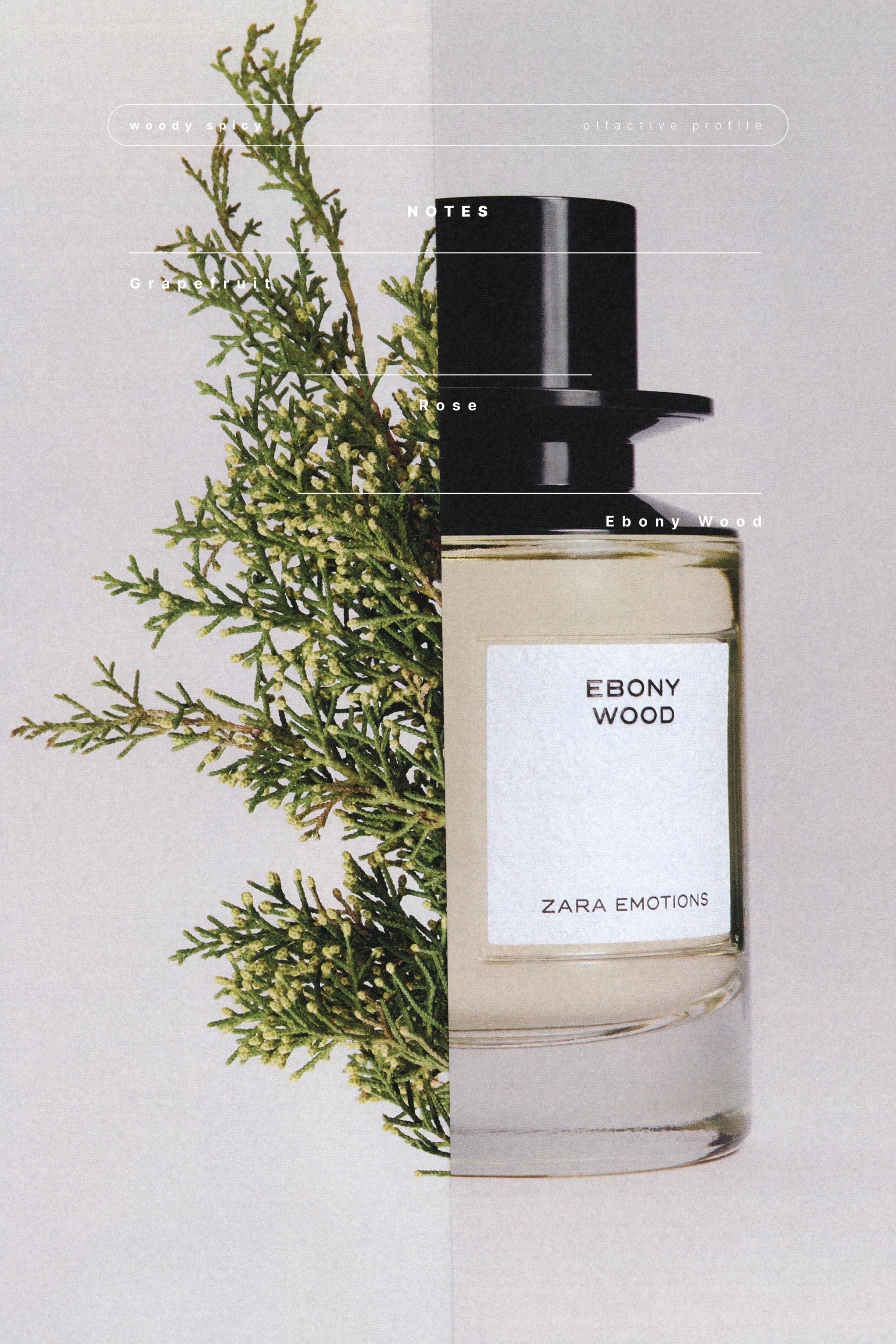 EBONY WOOD EDP 100 ML (3.4 FL. OZ).