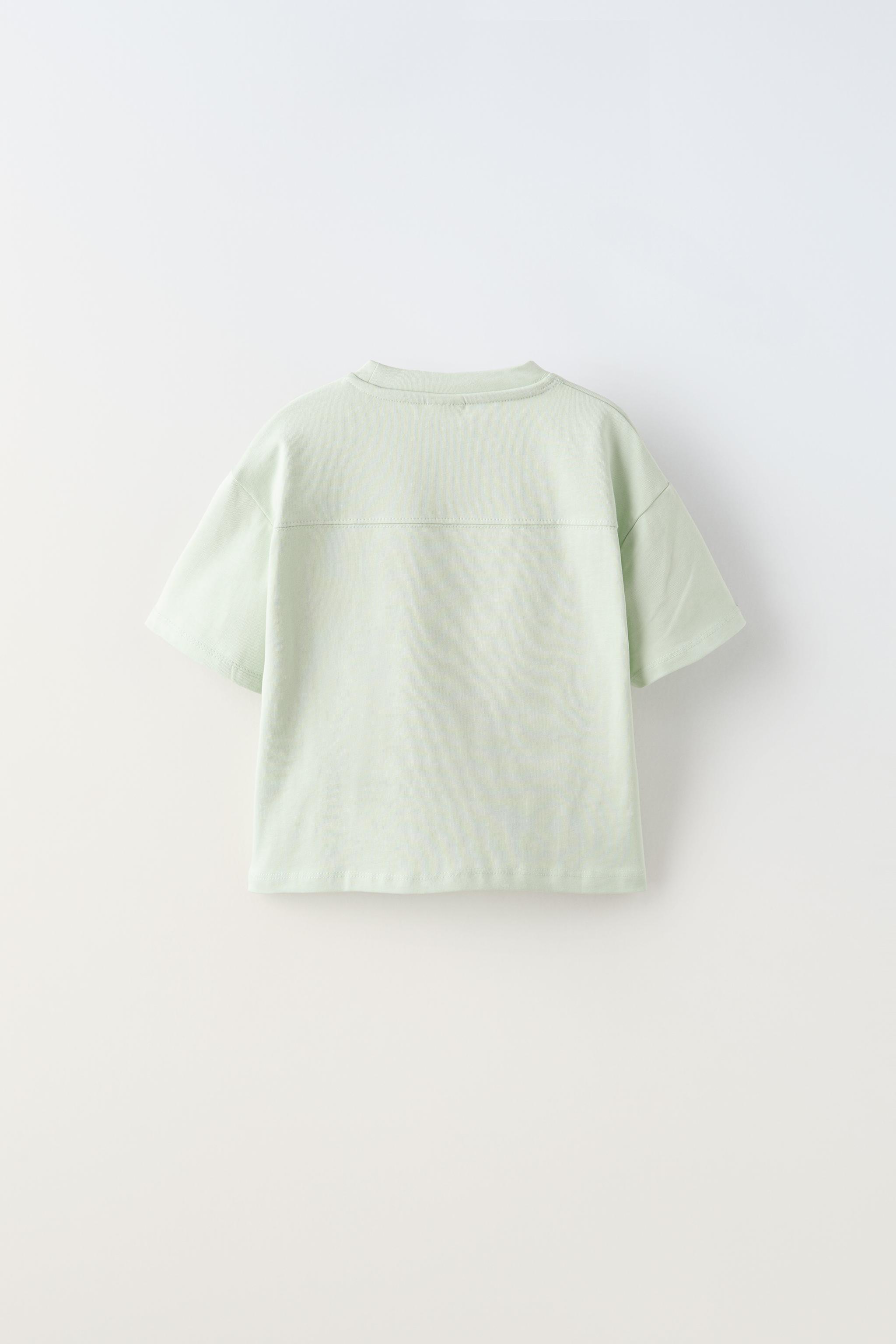 Zara mint hot sale green top